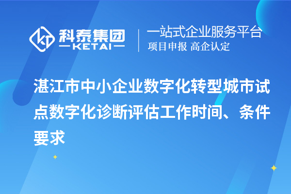 湛江市中小企业数字化转型城市试点数字化诊断评估工作时间、条件要求