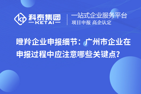 瞪羚企业申报细节：广州市企业在申报过程中应注意哪些关键点？