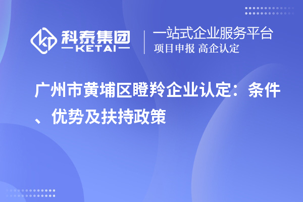 广州市黄埔区瞪羚企业认定：条件、优势及扶持政策