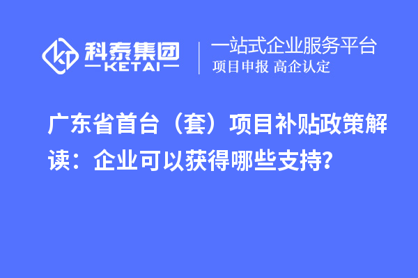 广东省首台（套）项目补贴政策解读：企业可以获得哪些支持？