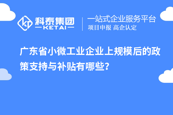 广东省小微工业企业上规模后的政策支持与补贴有哪些？