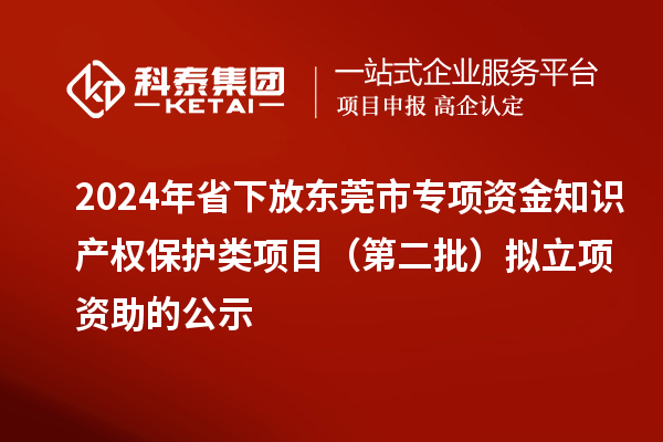 2024年省下放东莞市专项资金知识产权保护类项目(第二批)拟立项资助的公示