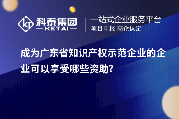 成为广东省知识产权示范企业的企业可以享受哪些资助？