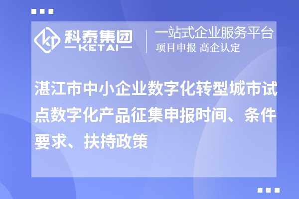 湛江市中小企业数字化转型城市试点数字化产品征集申报时间、条件要求、扶持政策
