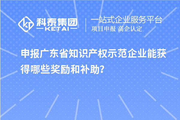 申报广东省知识产权示范企业能获得哪些奖励和补助？