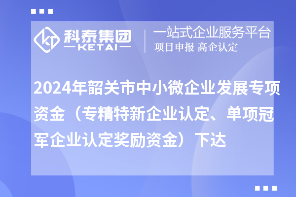 2024年韶关市中小微企业发展专项资金（专精特新企业认定、单项冠军企业认定奖励资金）下达