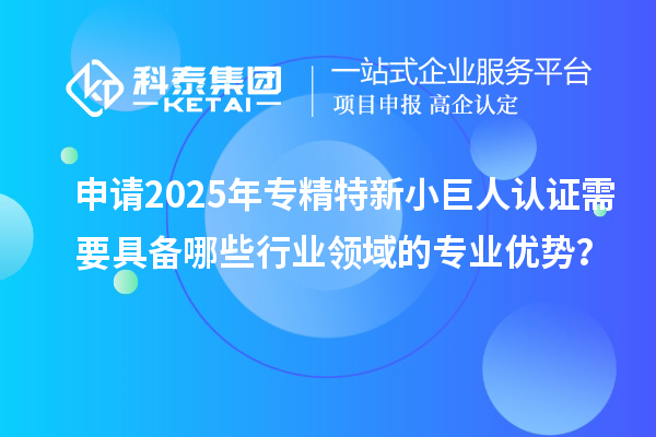 申请2025年专精特新小巨人认证需要具备哪些行业领域的专业优势？