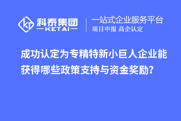 成功认定为专精特新小巨人企业能获得哪些政策支持与资金奖励？