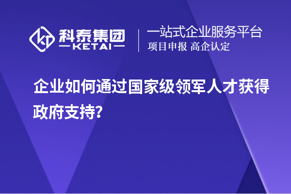 企业如何通过国家级领军人才获得政府支持？