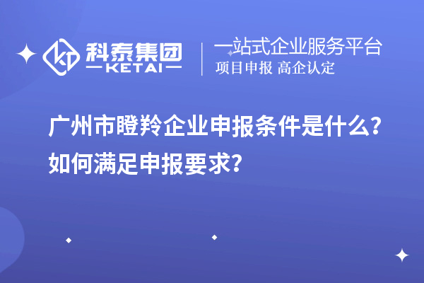 广州市瞪羚企业申报条件是什么？如何满足申报要求？
