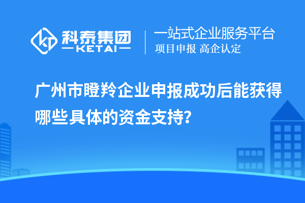 广州市瞪羚企业申报成功后能获得哪些具体的资金支持？