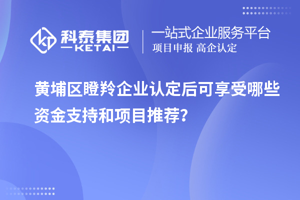 黄埔区瞪羚企业认定后可享受哪些资金支持和项目推荐？