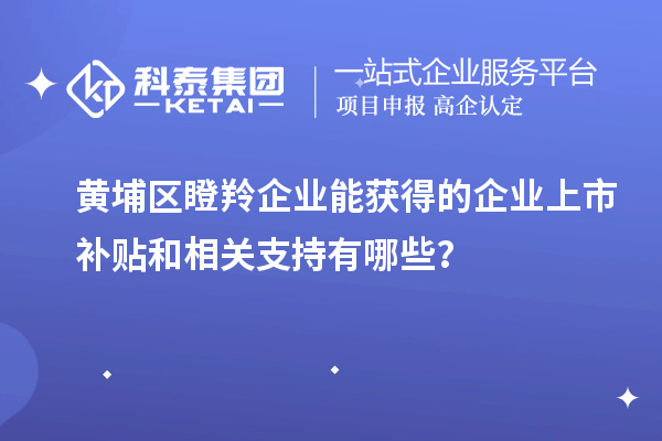 黄埔区瞪羚企业能获得的企业上市补贴和相关支持有哪些？