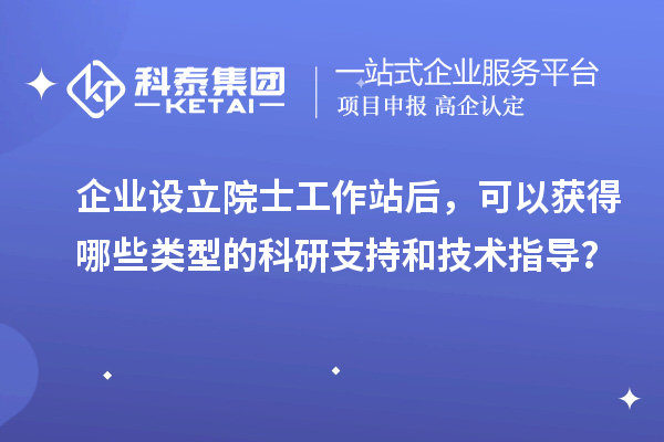 企业设立院士工作站后，可以获得哪些类型的科研支持和技术指导？