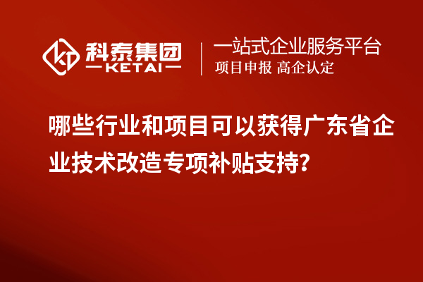 哪些行业和项目可以获得广东省企业技术改造专项补贴支持？