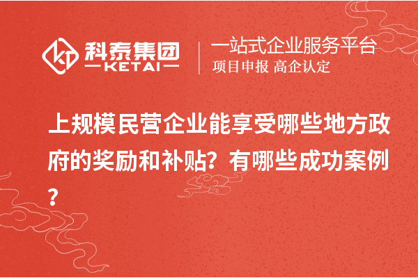 上规模民营企业能享受哪些地方政府的奖励和补贴？有哪些成功案例？