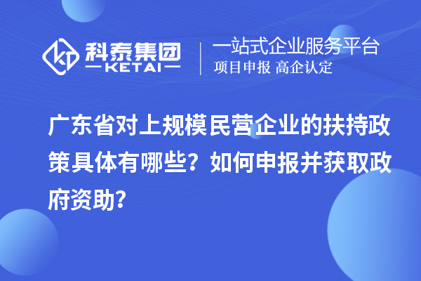 广东省对上规模民营企业的扶持政策具体有哪些？如何申报并获取政府资助？