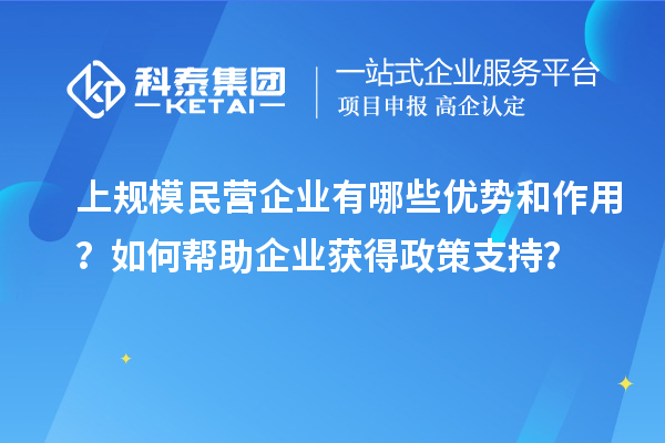 上规模民营企业有哪些优势和作用？如何帮助企业获得政策支持？