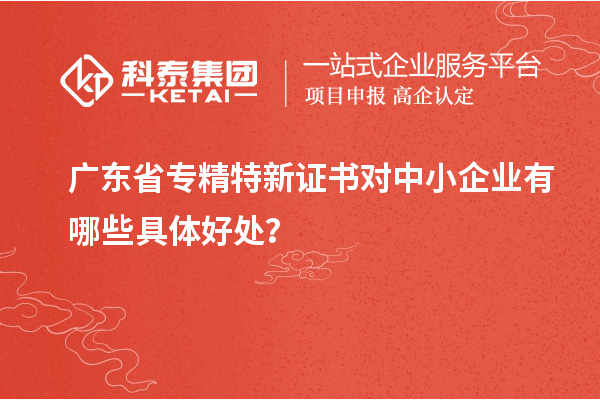 广东省专精特新证书对中小企业有哪些具体好处？