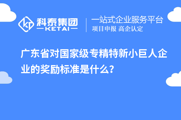 广东省对国家级专精特新小巨人企业的奖励标准是什么？