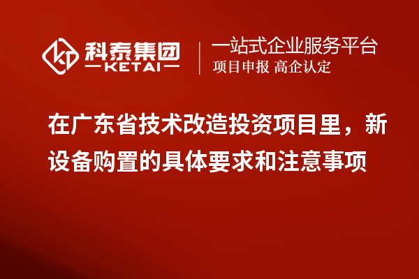 在广东省技术改造投资项目里，新设备购置的具体要求和注意事项