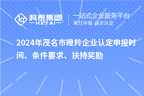 2024年茂名市瞪羚企业认定申报时间、条件要求、扶持奖励