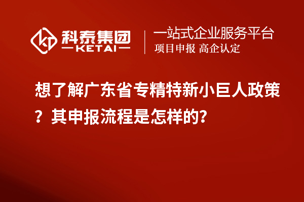想了解广东省专精特新小巨人政策？其申报流程是怎样的？