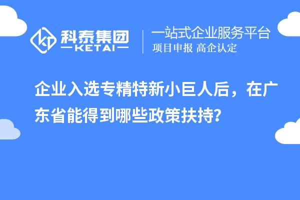 企业入选专精特新小巨人后，在广东省能得到哪些政策扶持？