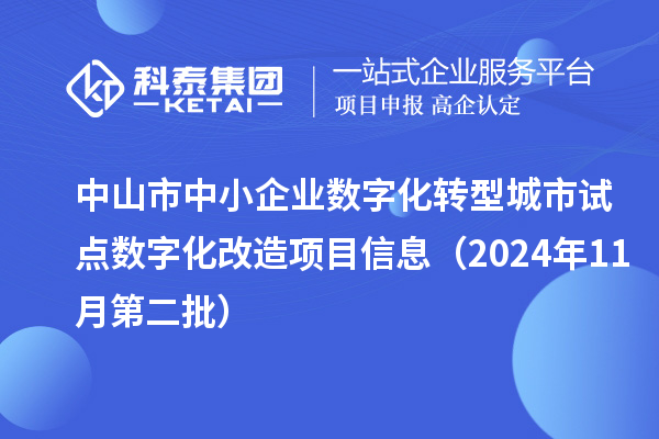 中山市中小企业数字化转型城市试点数字化改造项目信息（2024年11月第二批）