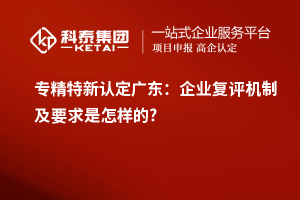 专精特新认定广东：企业复评机制及要求是怎样的?