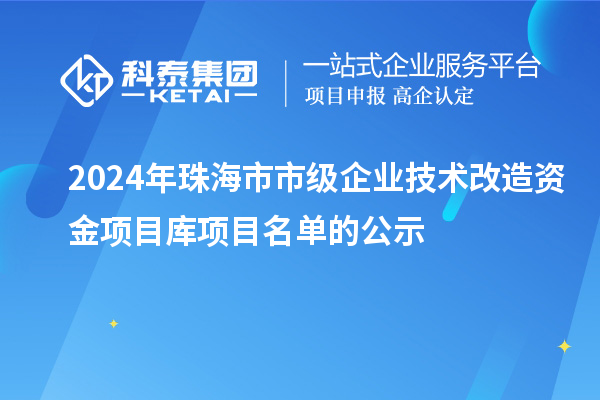 2024年珠海市市级企业技术改造资金项目库项目名单的公示