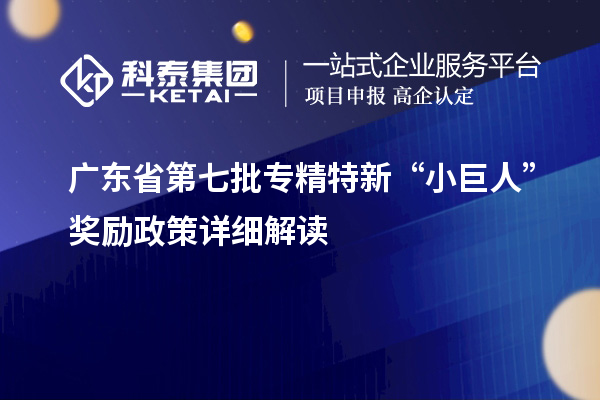 广东省第七批专精特新“小巨人”奖励政策详细解读