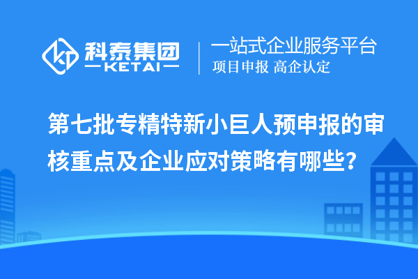 第七批专精特新小巨人预申报的审核重点及企业应对策略有哪些？