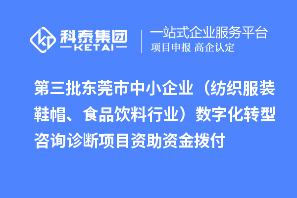 第三批东莞市中小企业（纺织服装鞋帽、食品饮料行业）数字化转型咨询诊断项目资助资金拨付