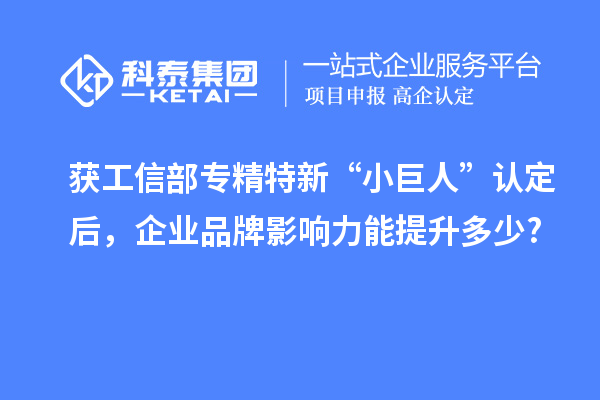 获工信部专精特新 “小巨人” 认定后，企业品牌影响力能提升多少?