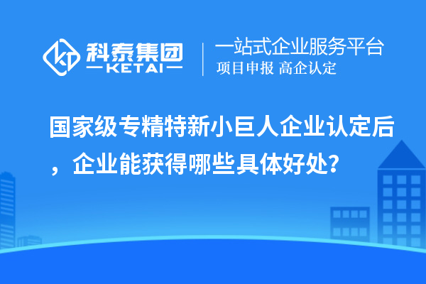 国家级专精特新小巨人企业认定后，企业能获得哪些具体好处？