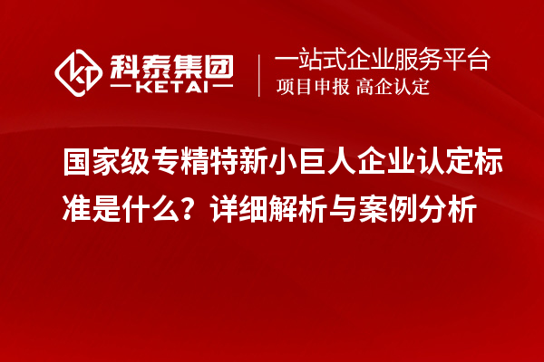 国家级专精特新小巨人企业认定标准是什么？详细解析与案例分析