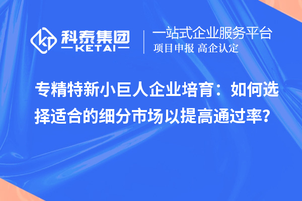 专精特新小巨人企业培育：如何选择适合的细分市场以提高通过率？