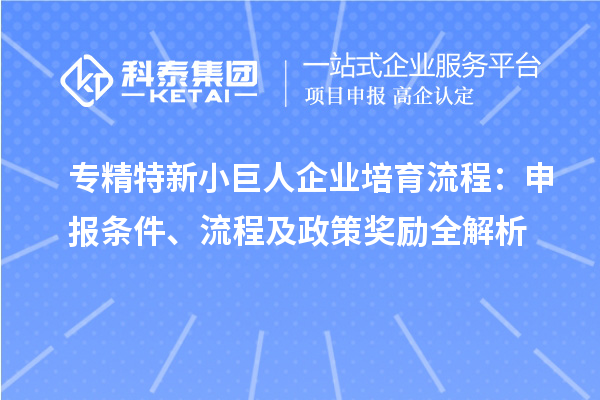专精特新小巨人企业培育流程：申报条件、流程及政策奖励全解析