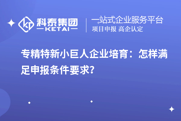 专精特新小巨人企业培育：怎样满足申报条件要求？