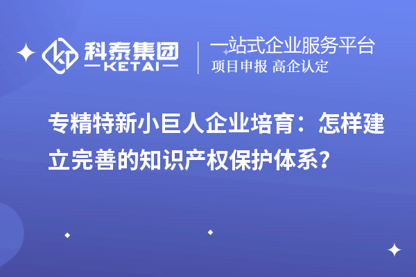 专精特新小巨人企业培育：怎样建立完善的知识产权保护体系？