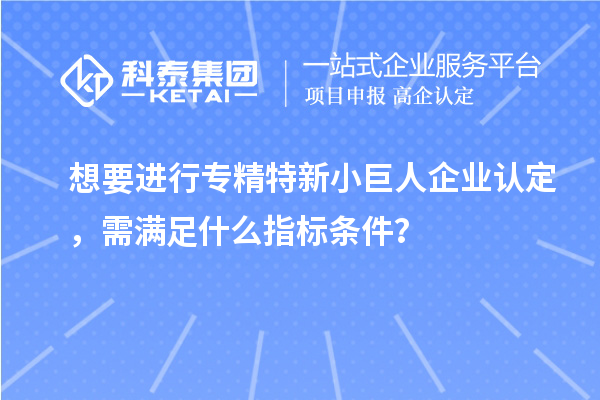 想要进行专精特新小巨人企业认定，需满足什么指标条件？