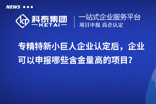 专精特新小巨人企业认定后，企业可以申报哪些含金量高的项目？