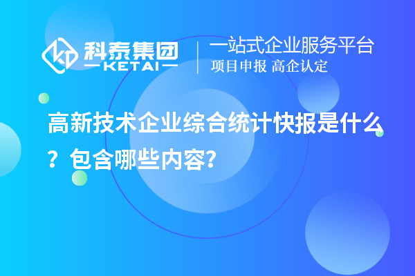 高新技术企业综合统计快报是什么？包含哪些内容？