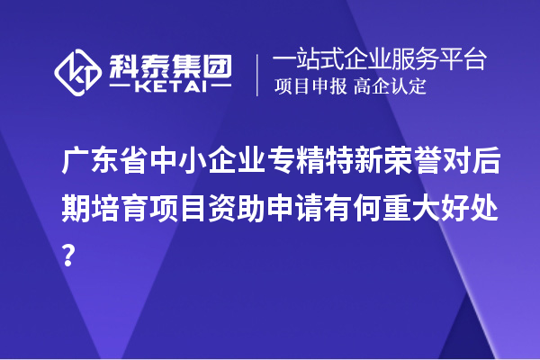 广东省中小企业专精特新荣誉对后期培育项目资助申请有何重大好处？