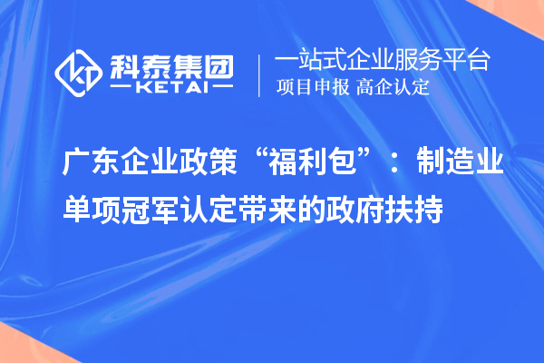 广东企业政策“福利包”：制造业单项冠军认定带来的政府扶持