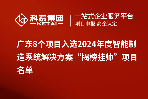 广东8个项目入选2024年度智能制造系统解决方案“揭榜挂帅”项目名单