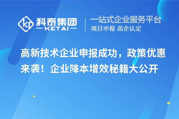 高新技术企业申报成功，政策优惠来袭！企业降本增效秘籍大公开
