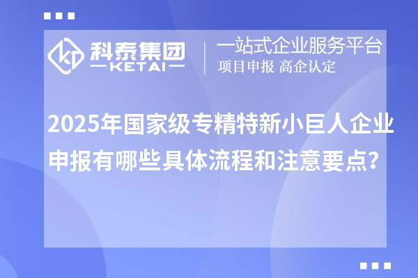 2025年国家级专精特新<a href=http://www.1ys1w.cn/zjtx/ target=_blank class=infotextkey>小巨人企业申报</a>有哪些具体流程和注意要点？