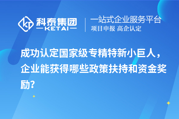 成功认定国家级专精特新小巨人，企业能获得哪些政策扶持和资金奖励？